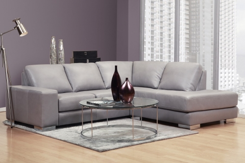 6053G Leather Sectional Urban Collection by Superstyle